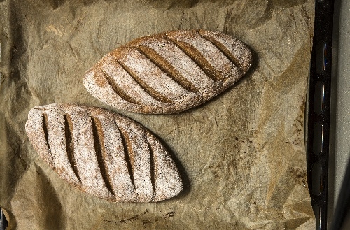 Majs- och bovetelimpa